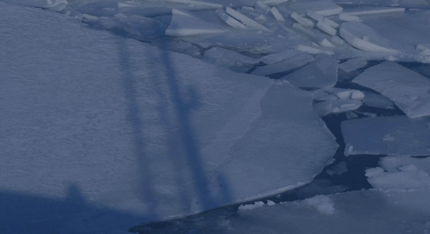 GIF - first freeze